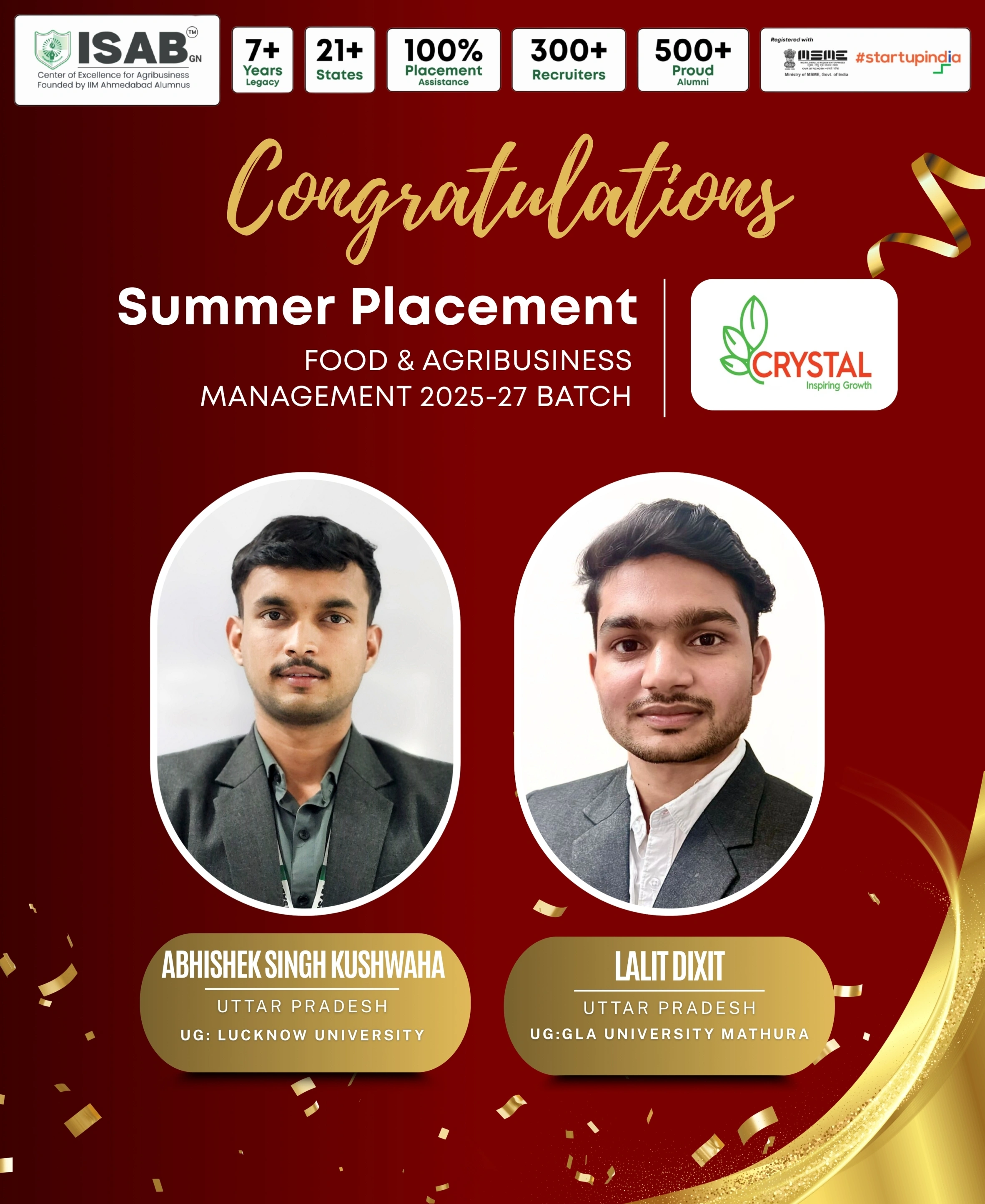 Summer placement poster 11